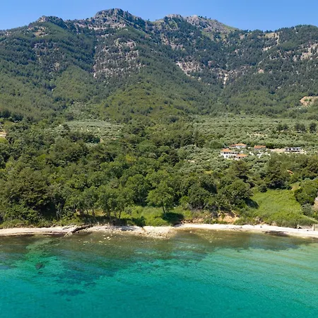 Olea Mare * Koinira