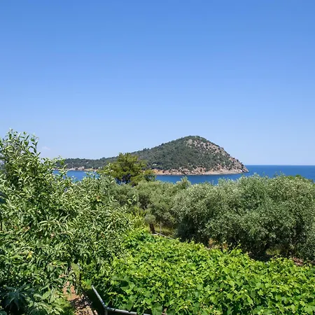 Olea Mare Koinira