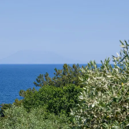 Appartement Olea Mare